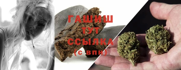 сатива Вязьма